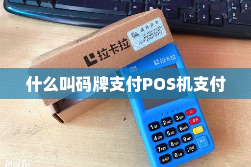 什么叫码牌支付POS机支付