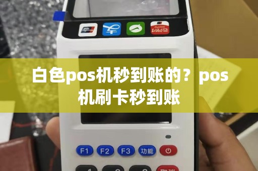 白色pos机秒到账的？pos机刷卡秒到账