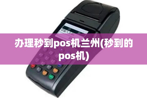 办理秒到pos机兰州(秒到的pos机)