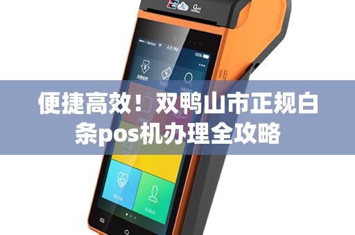 便捷高效！双鸭山市正规白条pos机办理全攻略