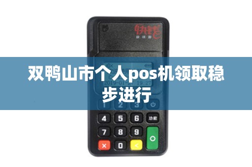 双鸭山市个人pos机领取稳步进行