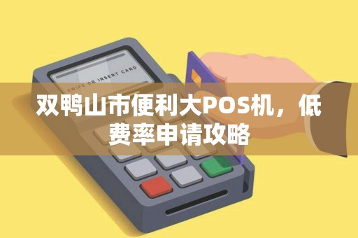 双鸭山市便利大POS机，低费率申请攻略
