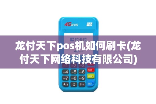 龙付天下pos机如何刷卡(龙付天下网络科技有限公司)