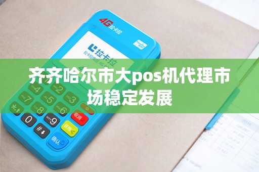 齐齐哈尔市大pos机代理市场稳定发展