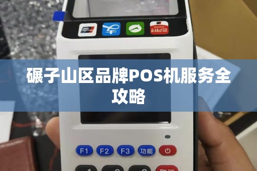 碾子山区品牌POS机服务全攻略