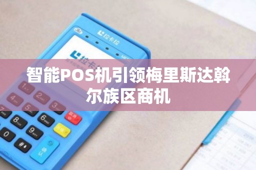 智能POS机引领梅里斯达斡尔族区商机