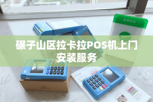 碾子山区拉卡拉POS机上门安装服务