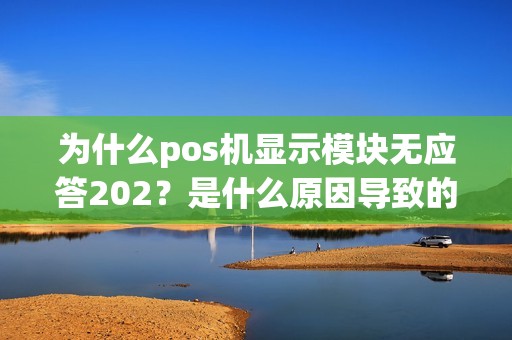 为什么pos机显示模块无应答202？是什么原因导致的？怎么解决？