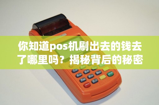 你知道pos机刷出去的钱去了哪里吗？揭秘背后的秘密！