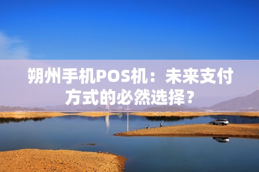 朔州手机POS机：未来支付方式的必然选择？