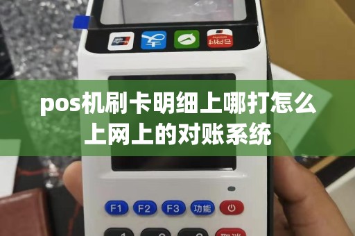 pos机刷卡明细上哪打怎么上网上的对账系统