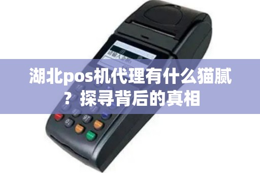 湖北pos机代理有什么猫腻？探寻背后的真相