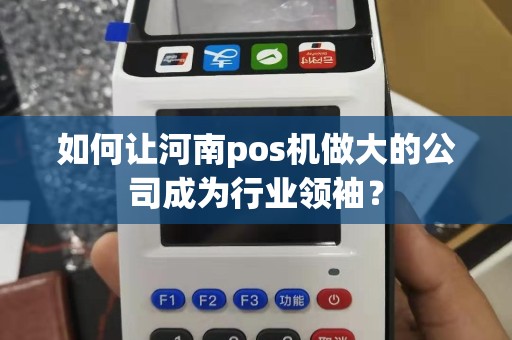 如何让河南pos机做大的公司成为行业领袖？