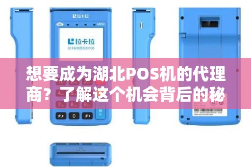 想要成为湖北POS机的代理商？了解这个机会背后的秘密！