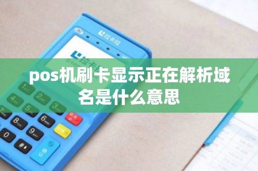 pos机刷卡显示正在解析域名是什么意思
