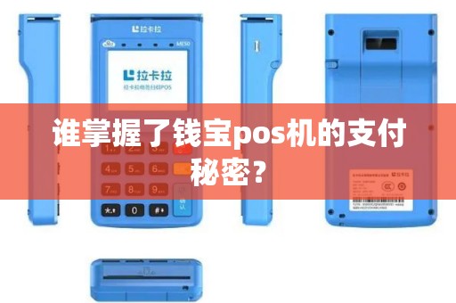 谁掌握了钱宝pos机的支付秘密？
