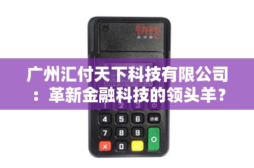 广州汇付天下科技有限公司：革新金融科技的领头羊？