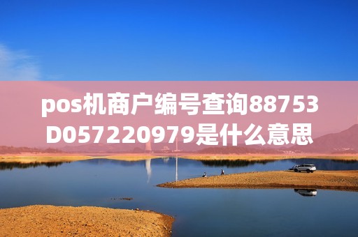 pos机商户编号查询88753D057220979是什么意思