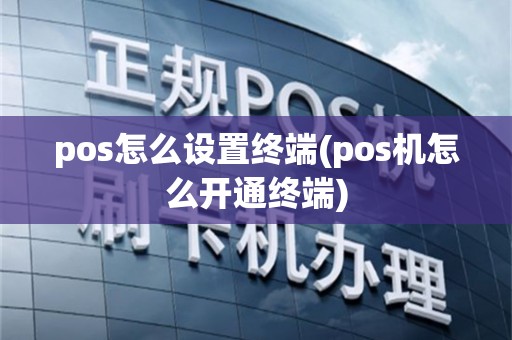 pos怎么设置终端(pos机怎么开通终端)