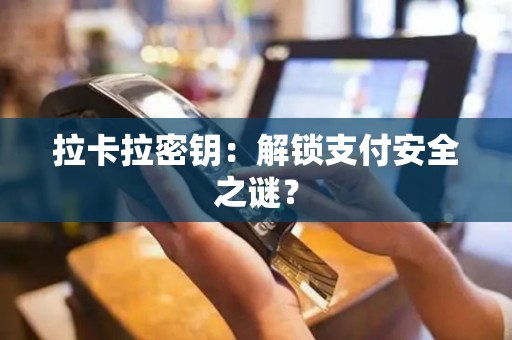 拉卡拉密钥：解锁支付安全之谜？
