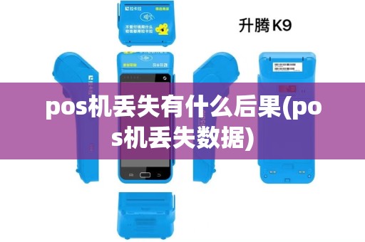 pos机丢失有什么后果(pos机丢失数据)