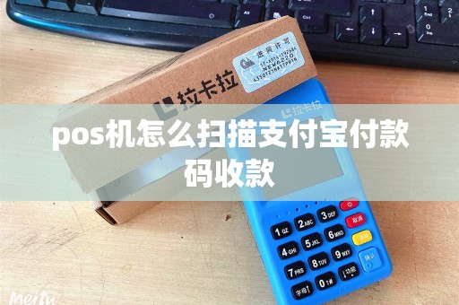 pos机怎么扫描支付宝付款码收款
