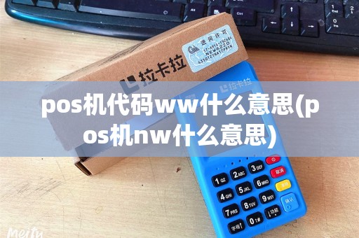 pos机代码ww什么意思(pos机nw什么意思)