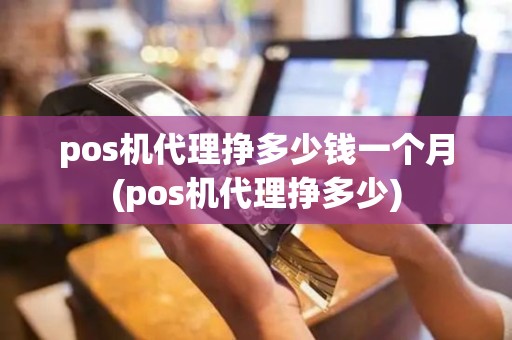 pos机代理挣多少钱一个月(pos机代理挣多少)