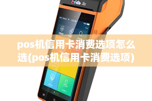 pos机信用卡消费选项怎么选(pos机信用卡消费选项)