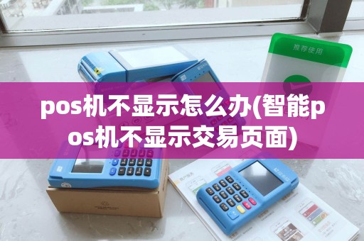 pos机不显示怎么办(智能pos机不显示交易页面)