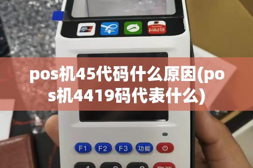 pos机45代码什么原因(pos机4419码代表什么)