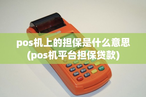 pos机上的担保是什么意思(pos机平台担保贷款)