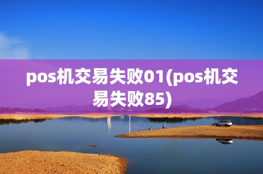 pos机交易失败01(pos机交易失败85)