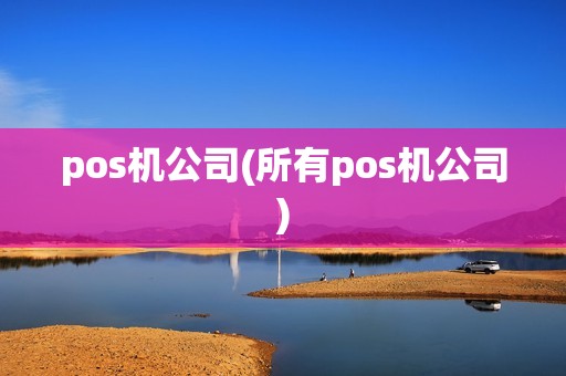 pos机公司(所有pos机公司)