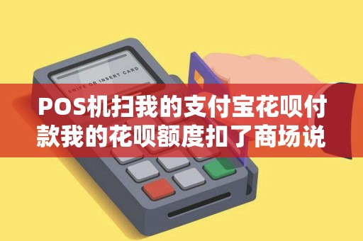 POS机扫我的支付宝花呗付款我的花呗额度扣了商场说没...