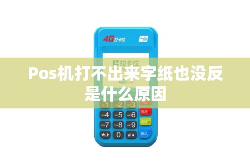Pos机打不出来字纸也没反是什么原因