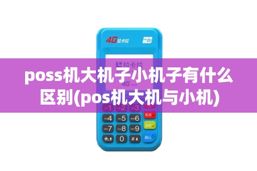 poss机大机子小机子有什么区别(pos机大机与小机)