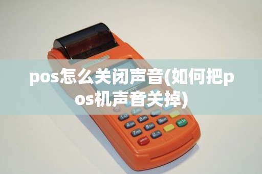 pos怎么关闭声音(如何把pos机声音关掉)