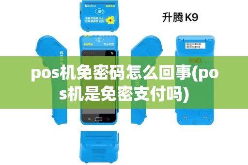 pos机免密码怎么回事(pos机是免密支付吗)