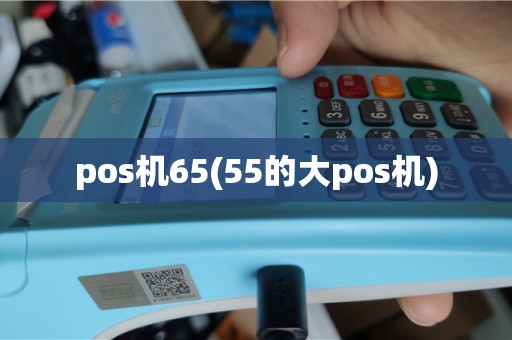 pos机65(55的大pos机)