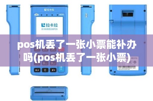 pos机丢了一张小票能补办吗(pos机丢了一张小票)