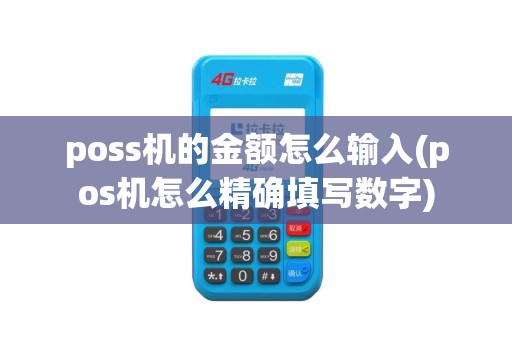 poss机的金额怎么输入(pos机怎么精确填写数字)