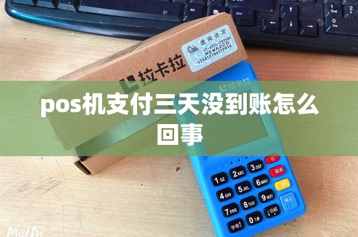 pos机支付三天没到账怎么回事