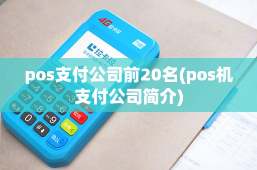 pos支付公司前20名(pos机支付公司简介)