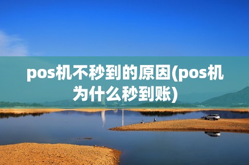 pos机不秒到的原因(pos机为什么秒到账)