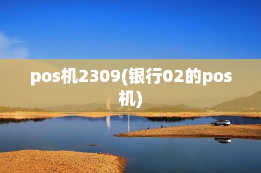 pos机2309(银行02的pos机)