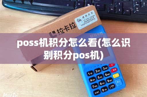 poss机积分怎么看(怎么识别积分pos机)