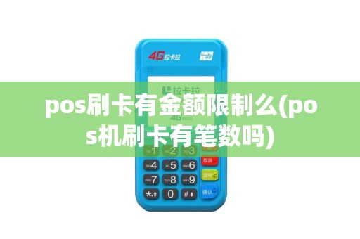 pos刷卡有金额限制么(pos机刷卡有笔数吗)