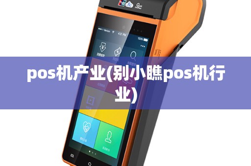 pos机产业(别小瞧pos机行业)