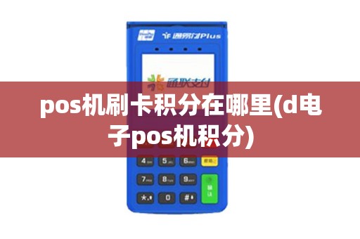 pos机刷卡积分在哪里(d电子pos机积分)